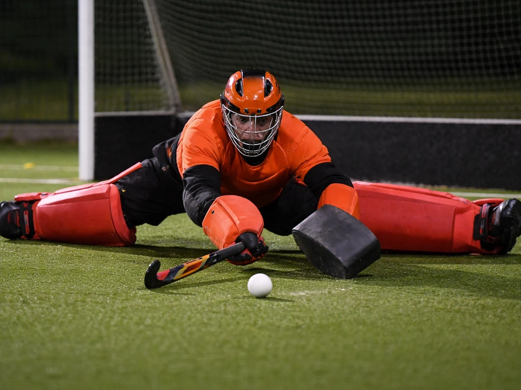 gardien hockey gazon